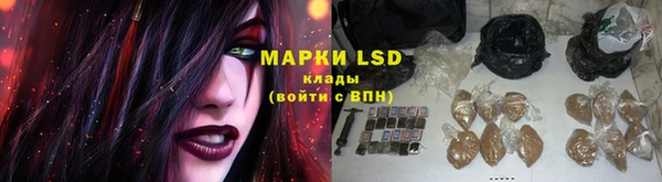 PSILOCYBIN Абинск