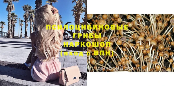 PSILOCYBIN Абинск