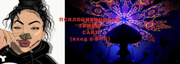 PSILOCYBIN Абинск