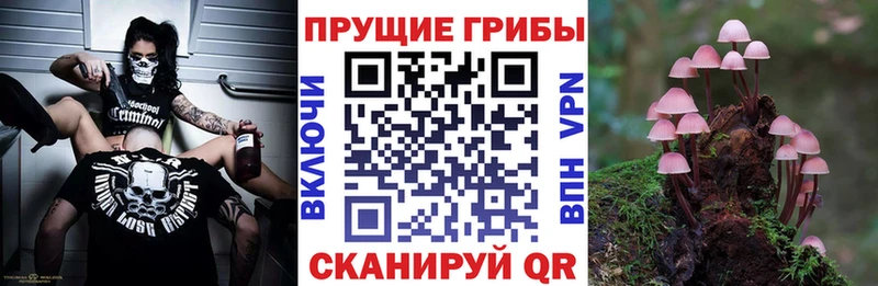 Псилоцибиновые грибы мицелий  Южа 